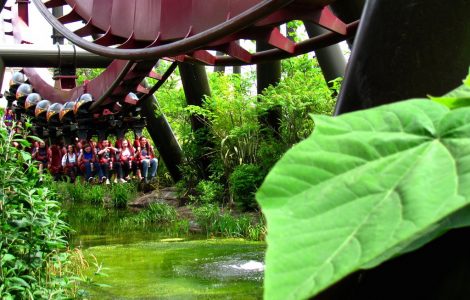 פארק שעשועים אנגליה