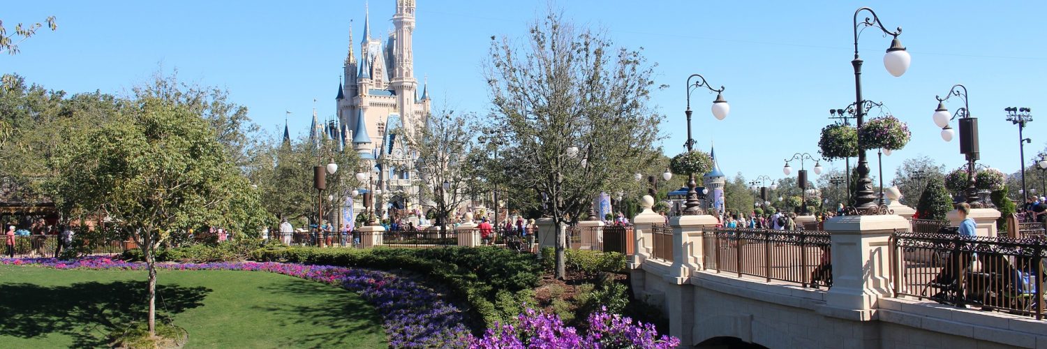 דיסניוורלד בתי מלון