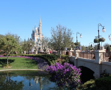 דיסניוורלד בתי מלון