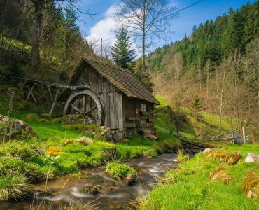 מלונות למשפחות ביער השחור