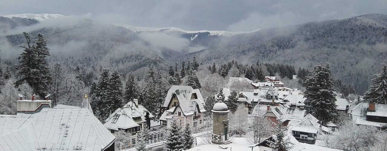 פויאנה רומניה בתי מלון עם המשפחה