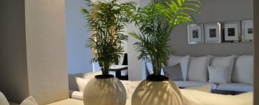 צימרים מומלצים בנגב