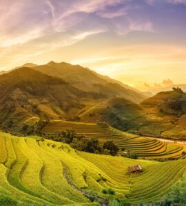 מזג האוויר בויאטנם